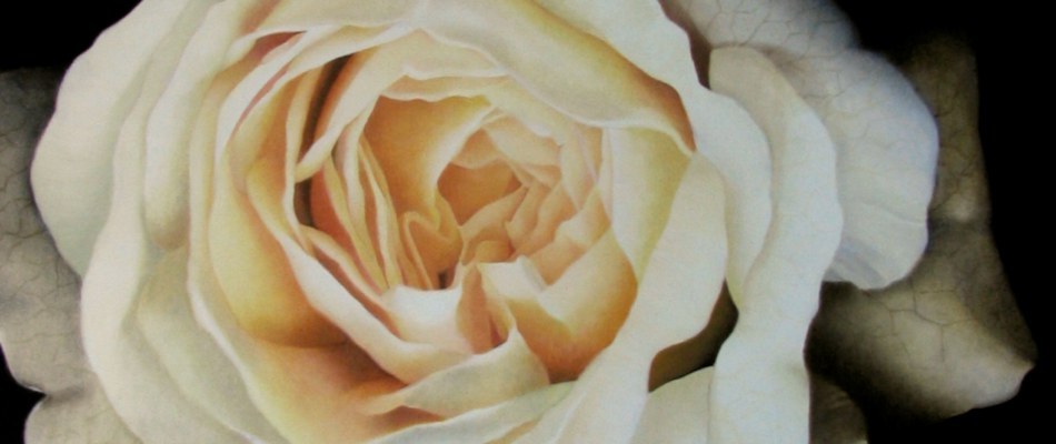 Obraz olejny - Rose