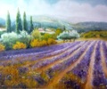 nesvadba-lavender_poppy_square_obraz_olejny